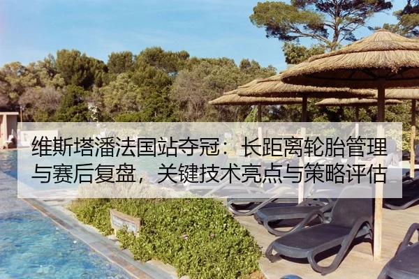 维斯塔潘法国站夺冠：长距离轮胎管理与赛后复盘，关键技术亮点与策略评估