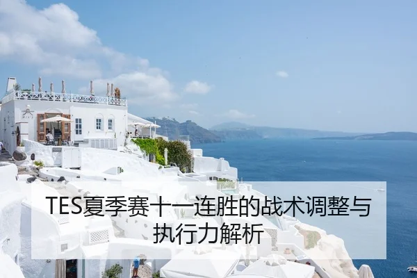TES夏季赛十一连胜的战术调整与执行力解析
